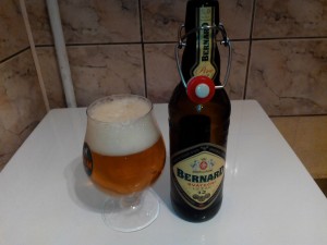 bernard svatecni