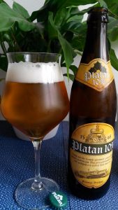 platan 10